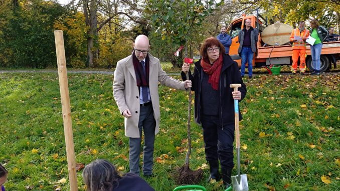 Landtagskandidat und Fraktionsvorsitzende beim Baum pflanzen